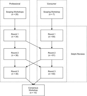 Defining a Patient-Centred Core Outcome Domain Set for the Assessment of Hearing Rehabilitation With Clients and Professionals